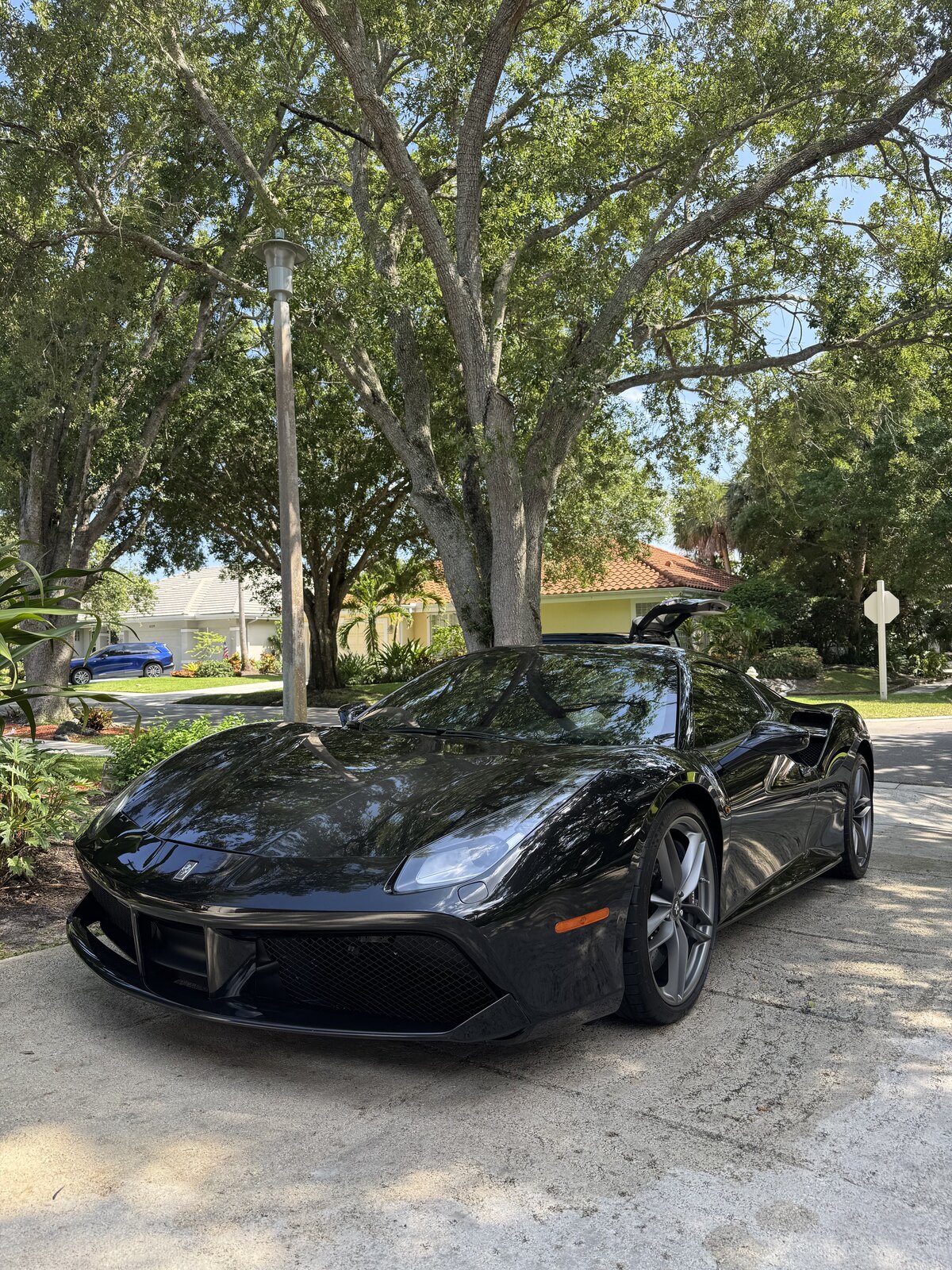Black Corvette with a mirror finish